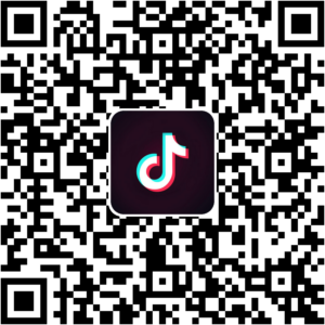抖音小程序